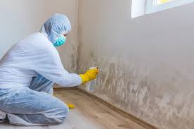 Best Attic Mold Removal  in Mante, CA